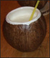 Coconaut